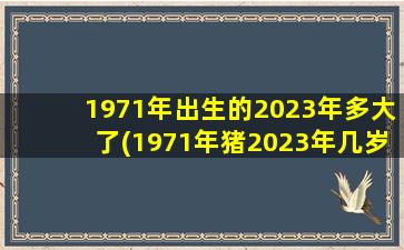 1971年出生的2023年多大了(1971年猪2023年几岁)