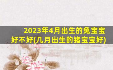 2023年4月出生的兔宝宝好不好(几月出生的猪宝宝好)