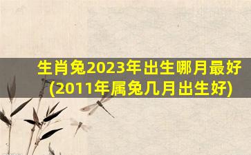 生肖兔2023年出生哪月最好(2011年属兔几月出生好)