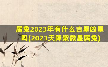 属兔2023年有什么吉星凶星吗(2023天降紫微星属兔)