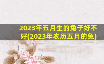 2023年五月生的兔子好不好(2023年农历五月的兔)