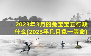 <strong>2023年3月的兔宝宝五行缺</strong>