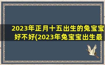 2023年正月十五出生的兔