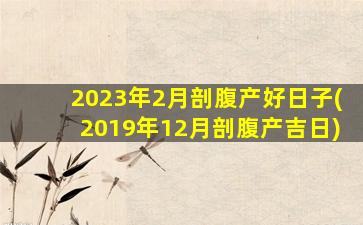 2023年2月剖腹产好日子(2019年12月剖腹产吉日)