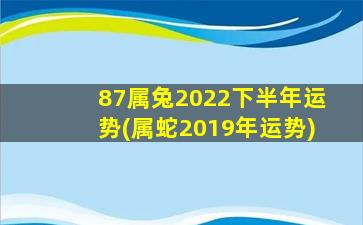 87属兔2022下半年运势(属蛇2019年运势)