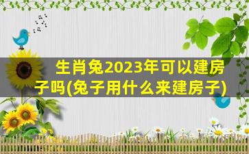 生肖兔2023年可以建房子吗(兔子用什么来建房子)