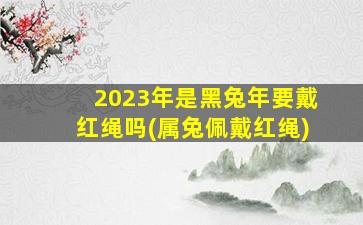 <b>2023年是黑兔年要戴红绳吗(属兔佩戴红绳)</b>