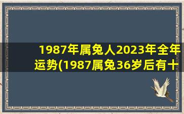 1987年属兔人2023年全年运势(1987属兔36岁后有十年大运)