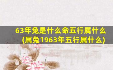 63年兔是什么命五行属什么(属兔1963年五行属什么)