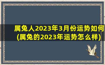 属兔人2023年3月份运势如何(属兔的2023年运势怎么样)