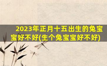 2023年正月十五出生的兔宝宝好不好(生个兔宝宝好不好)