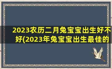 2023农历二月兔宝宝出生好不好(2023年兔宝宝出生最佳的农历月份)