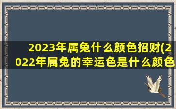 2023年属兔什么颜色招财(2022年属兔的幸运色是什么颜色)