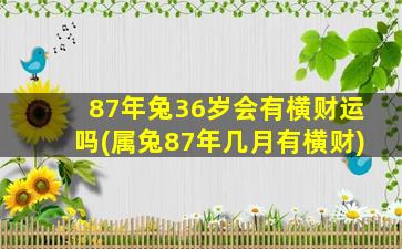 87年兔36岁会有横财运吗(属兔87年几月有横财)