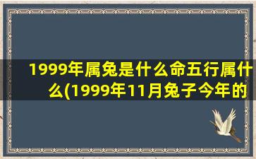 1999年属兔是什么命五行属什么(1999年11月兔子今年的运势)