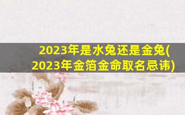 2023年是水兔还是金兔(2023年金箔金命取名忌讳)