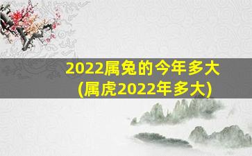 2022属兔的今年多大(属虎2022年多大)