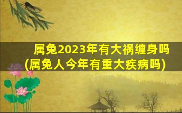 属兔2023年有大祸缠身吗(属兔人今年有重大疾病吗)