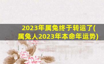 2023年属兔终于转运了(属兔人2023年本命年运势)