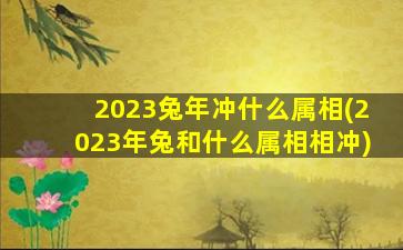 2023兔年冲什么属相(2023年兔和什么属相相冲)