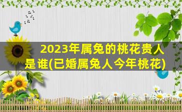 2023年属兔的桃花贵人是谁(已婚属兔人今年桃花)