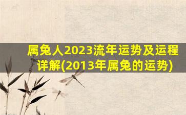 属兔人2023流年运势及运程详解(2013年属兔的运势)