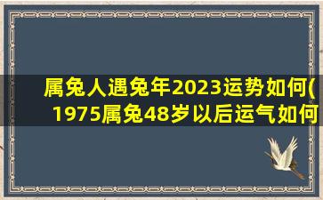 属兔人遇兔年2023运势如何(1975属兔48岁以后运气如何)