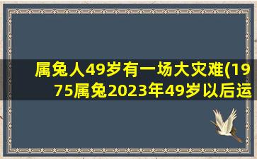 属兔人49岁有一场大灾难(1975属兔2023年49岁以后运气)