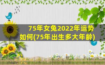 75年女兔2022年运势如何(75年出生多大年龄)