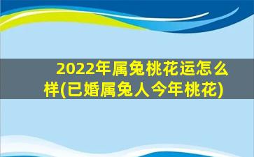 2022年属兔桃花运怎么样(已婚属兔人今年桃花)