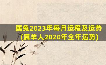 属兔2023年每月运程及运势(属羊人2020年全年运势)