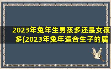 2023年兔年生男孩多还是女孩多(2023年兔年适合生子的属相)