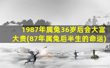 1987年属兔36岁后会大富大贵(87年属兔后半生的命运)