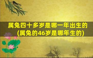 属兔四十多岁是哪一年出生的(属兔的46岁是哪年生的)