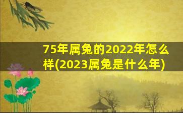 75年属兔的2022年怎么样(2023属兔是什么年)