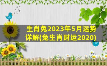 生肖兔2023年5月运势详解(兔生肖财运2020)