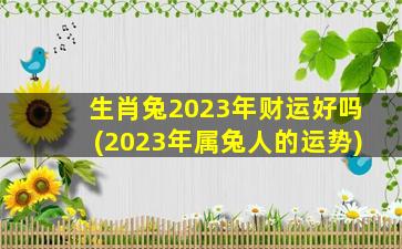 生肖兔2023年财运好吗(2023年属兔人的运势)