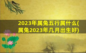 2023年属兔五行属什么(属兔2023年几月出生好)