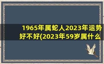 1965年属蛇人2023年运势好不