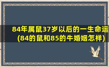 84年属鼠37岁以后的一生命