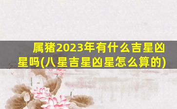 属猪2023年有什么吉星凶星