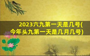 2023六九第一天是几号(今年头九第一天是几月几号)