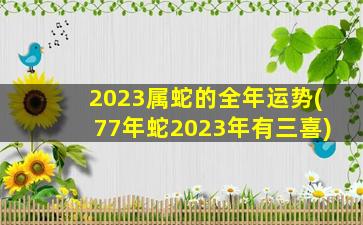 2023属蛇的全年运势(77年蛇