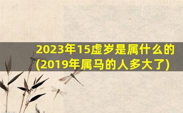 2023年15虚岁是属什么的(2019年属马的人多大了)