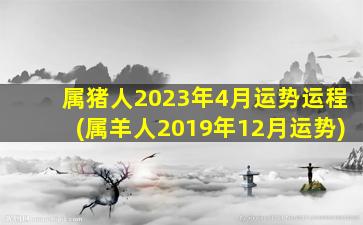 属猪人2023年4月运势运程