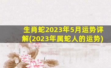 生肖蛇2023年5月运势详解