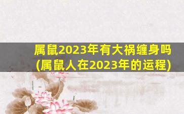 属鼠2023年有大祸缠身吗