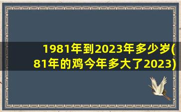 1981年到2023年多少岁(81年的鸡今年多大了2023)