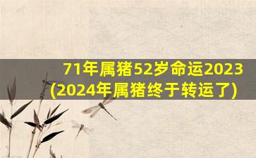 71年属猪52岁命运2023(2024年