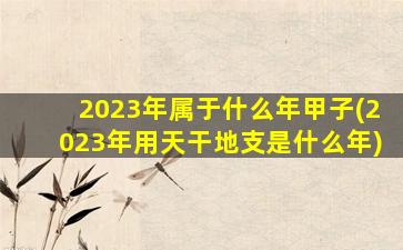 2023年属于什么年甲子(2023年用天干地支是什么年)